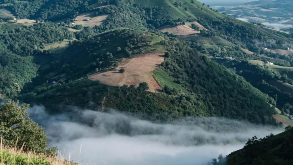 2025 թվականի Ֆրանսիայի Telegram բոլոր կատեգորիաների գովազդային սակագինները