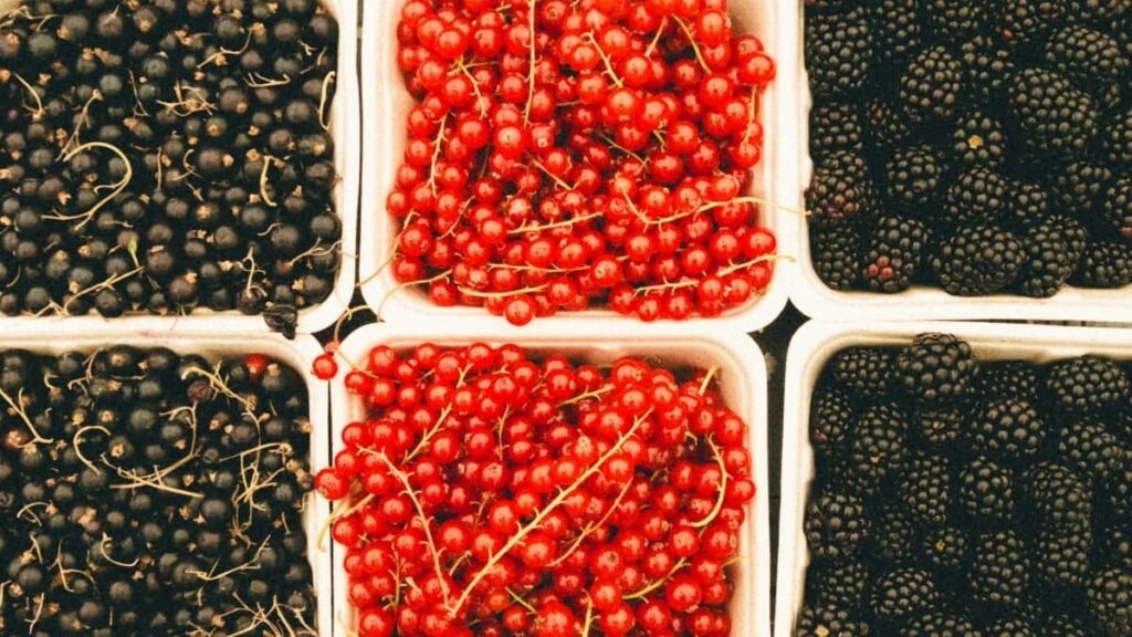 2025 Թվականում Hungary VKontakte ողջ կատեգորիայի գովազդի սակագները