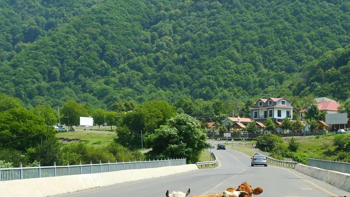 Armenian Advertisers: Find Lebanon IG Creators Fast
