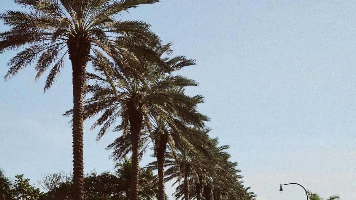 Find Turkey Snapchat creators — fast, local, real
