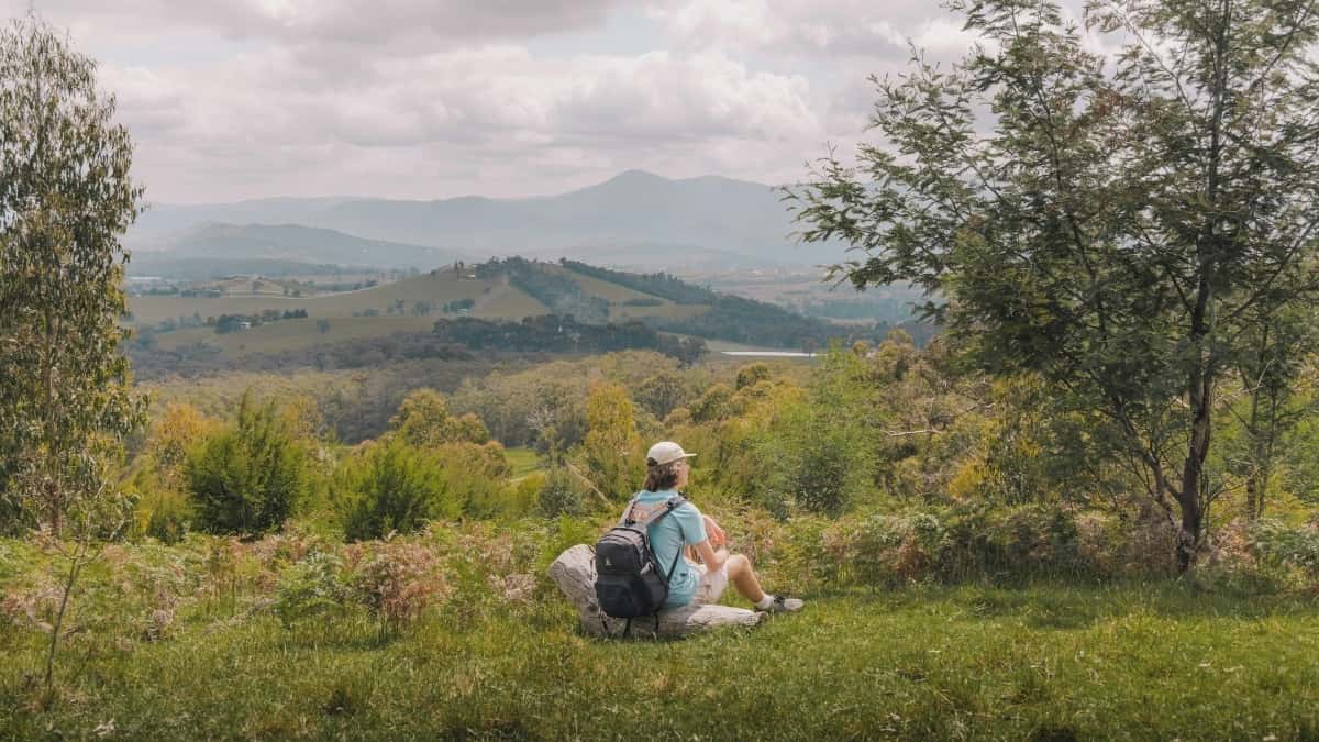 Հայ բրենդներ՝ գտնել իսլանդացի Zalo կրեատորներ