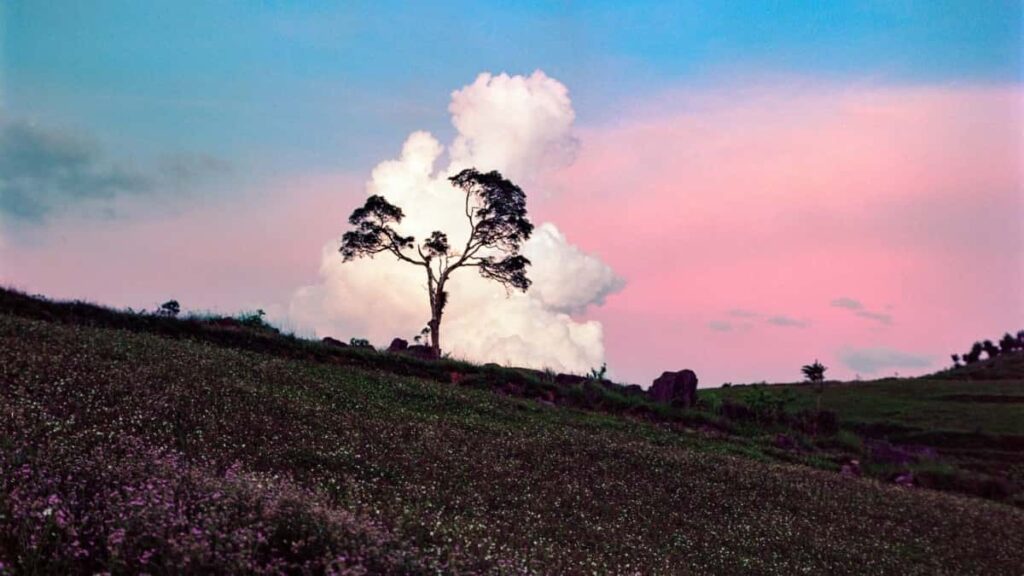 Discord wellness . , :