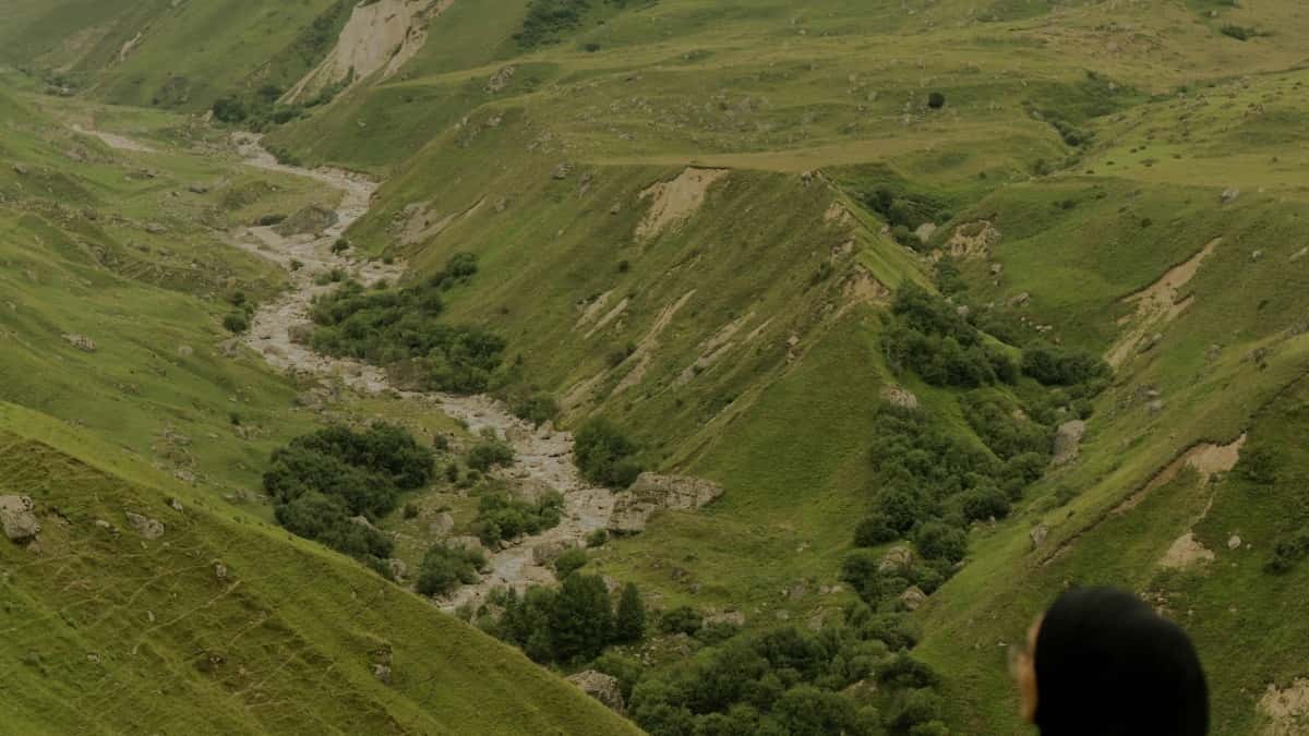 Հայ գովազդատու՝ NZ Reddit ստեղծողներ գտնել