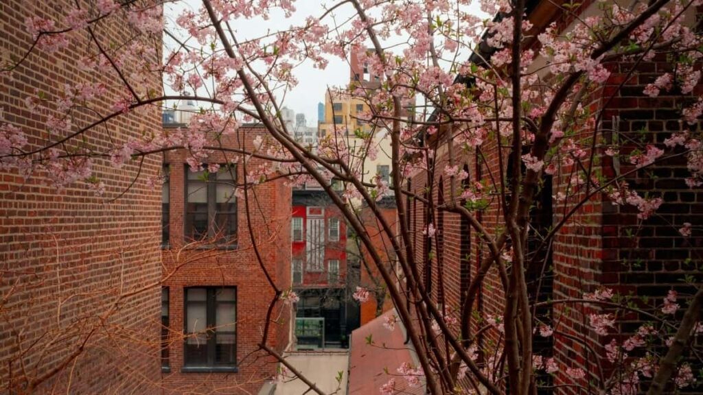 Bilibili- gameplay ,