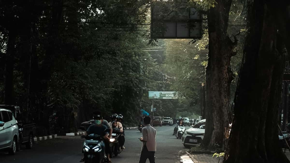 Հայ ճարտար ստեղծողների՝ Taobao-ում Կոստա Ռիկայի բրենդներ գտնելու ուղեցույց