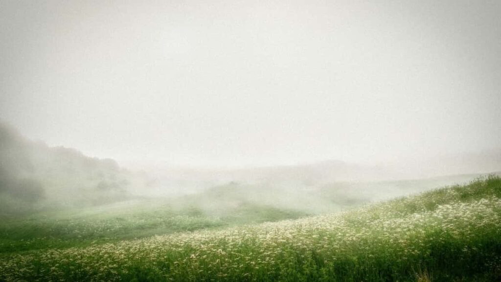 Viber-, sponsored-tools-