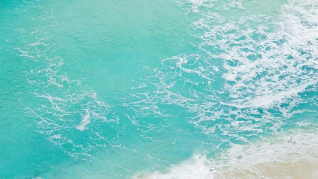 , .creator- , Roposo- :