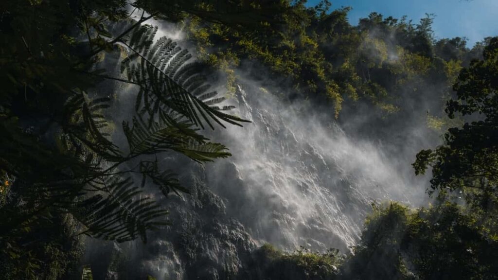 Chingari - , tact insight-: