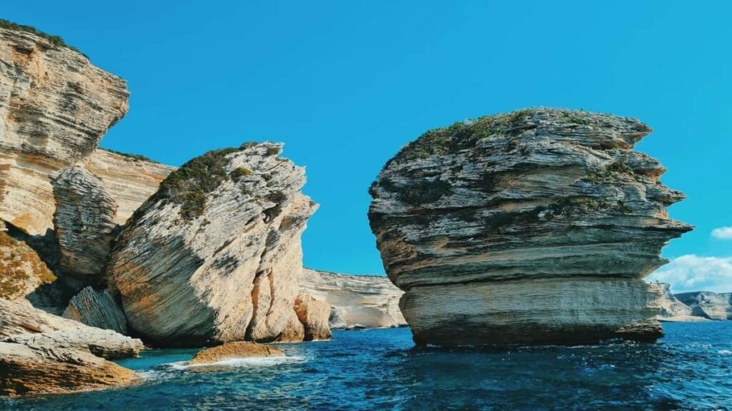 LinkedIn-. micro-seed ,