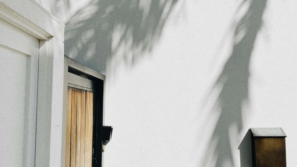 -- Paraguay- Amazon , ROI