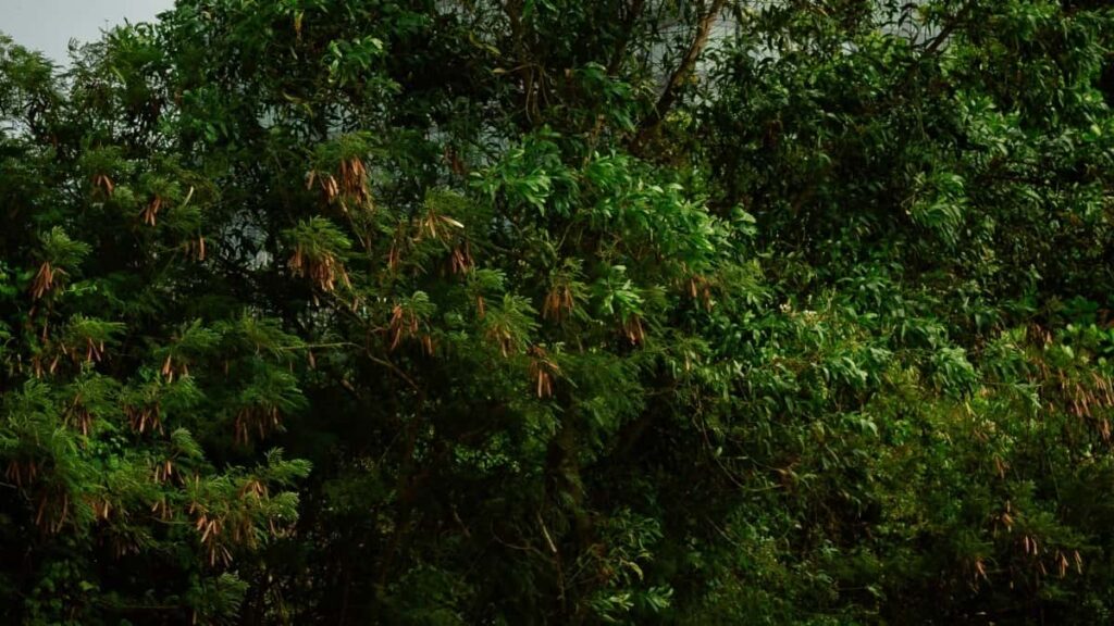 Facebook PR unbox review