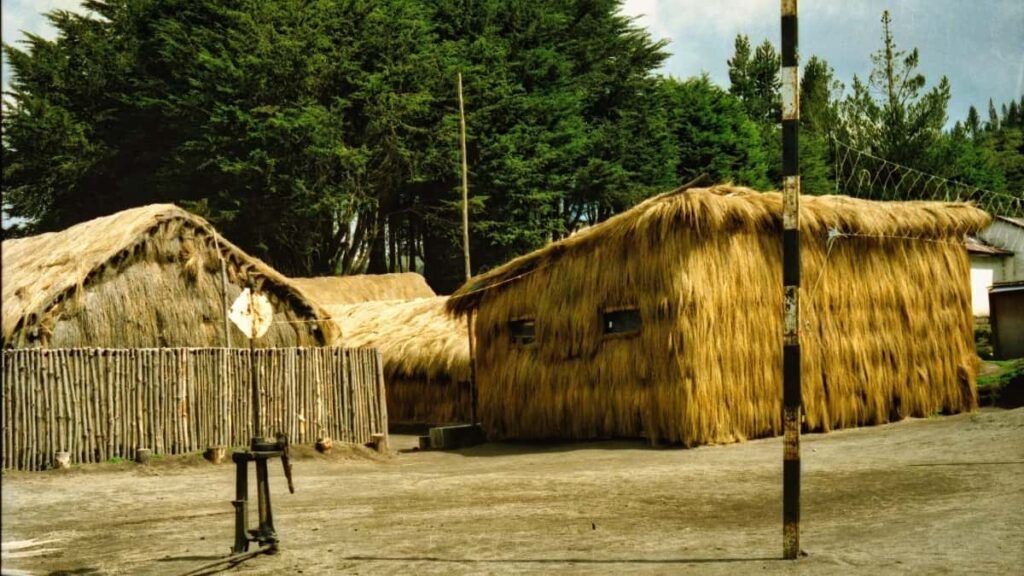 Spotify , wellbeing , ,