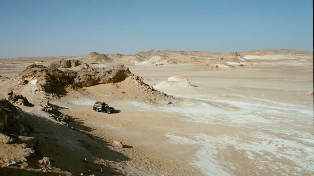 Qatar- Twitch style :