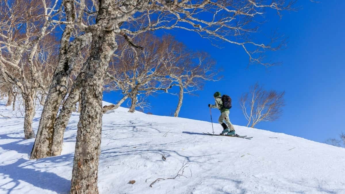 Բովանդակարարներ՝ ինչպես հասնել Mongolia բրենդներին Line-ում՝ ֆիթնես կոնտենտի համար
