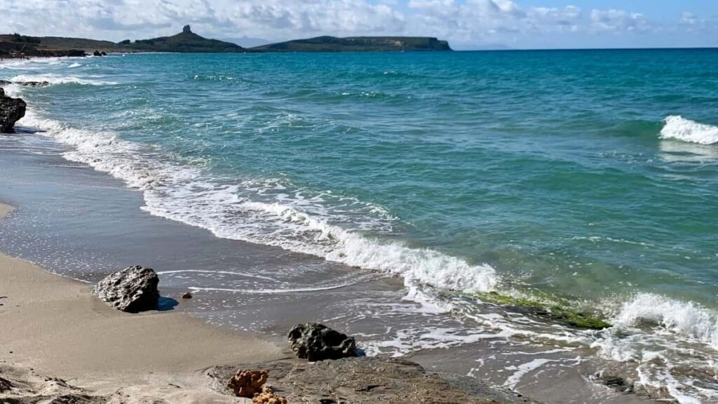 , Discord- Qatar ` Web Summit Qatar 2026 creator economy